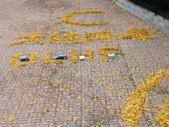 TDS-100F1超声波流量计的常见问题解决