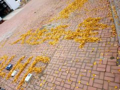 TDS-100F1超声波流量计的现场应用