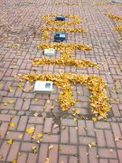 为什么推荐使用TDS-100F1系列超声波流量计