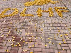 有关大连海峰插入式超声波流量计的使用